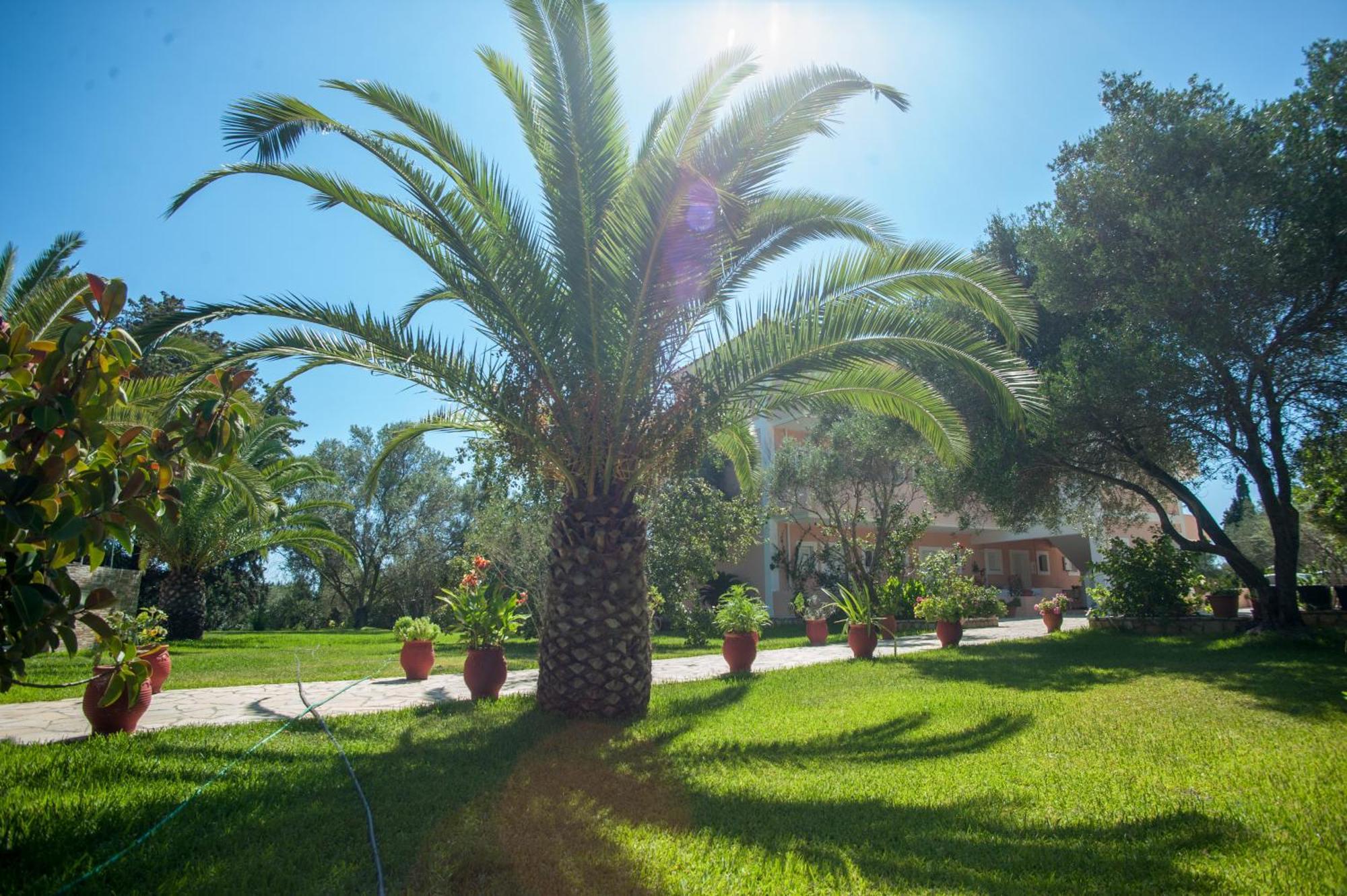 Helena Inn Svoronata Bagian luar foto
